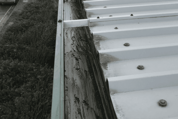 Commercial gutter cleaning specialists in Toddington